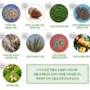 아토펫 이미지