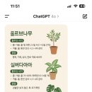 천일식물원