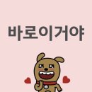 엠짐 JNS 유도체육관 | 231210 케이링크 페스티벌 후기 : 제베원 보러갔다 슴 무대에 눈물 흘리고 온 썰 푼다