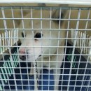 칠원지구대 이미지