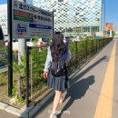 삿포로 여름 여행코스 (일정 꿀팁포함) JR패스 스텔라플레이스 잇핀 맥주박물관 토리톤스시