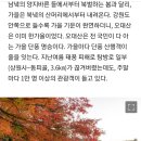 2020년 11월1일 강원도 오대산 일요산행 이미지