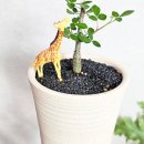 오르농장 이미지