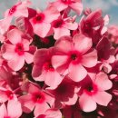 향기3로 이미지