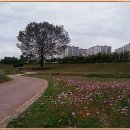 공릉천자전거도로변 이미지