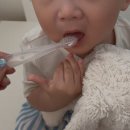 11305-18-16-5 | 래디어스 칫솔 공구 퓨어베이비 토츠 핫딜 (-4/16)