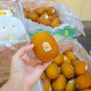 대구 칠성시장 수입 과일 도매 고당도 바나나 망고 대우농산