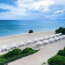 파라다이스 이미지