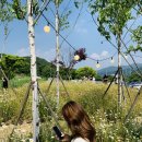 엠포레11 이미지