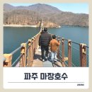 씨유 마장호수유원지점 | 파주 마장호수 출렁다리, 여유롭게 걷기 좋은 산책 명소