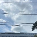 파인마루오피스텔 이미지