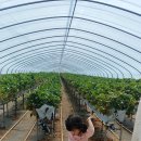 옥종농장 이미지