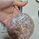 하누원