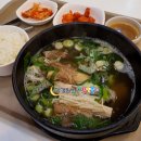 백제차유리