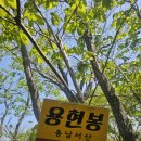 미소길탐방쉼터 이미지