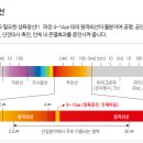 자연치유방 네이버블로그