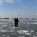 뜨리바다 이미지