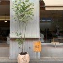 고고파트너스 | 서울역 카페 니트커피 knit coffee 느좋 감성의 커피맛집 내돈내산 후기