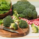 단국대 MTA 태권도 이미지