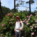 갈맷길3-3구간 이미지