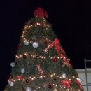 산호수농장 이미지