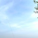 영산강 | 나주 유채꽃 명소 영산강 동섬 봄꽃 나들이 후기