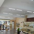 미뇽 캣 이미지