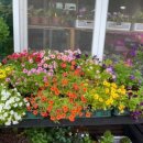 밀레니엄슈퍼 이미지