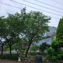 앞동산농장 이미지