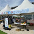 가운 중앙공원 이미지