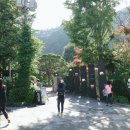 서종스크린골프 | 양평 서종 카페 - 17년간 손수 가꾼 개인정원 카페 내츄럴 가든529 카페를 다녀오고