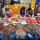 대인홍어 이미지