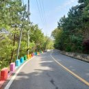 계남1리 이미지