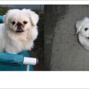 고덕면011 이미지