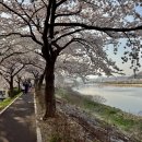 번개시장 화장실 이미지