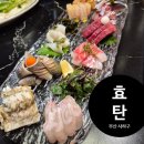 당리2-1 | 하단 당리 맛집 이자카야 효탄 솔직 후기