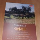 청주 동남지구 맛집 &#34;용암동 육감식당&#34; 후기