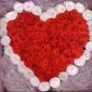 첫눈에 반하게 이미지