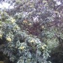 장창수농장 이미지