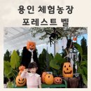 아영농장 | 용인 체험농장 실내동물원과 고구마체험까지 포레스트벨 후기