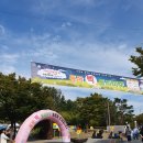 노들나루공원 | 동작 빅 플리마켓 노들나루공원 체험 후기