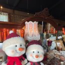 까사오스테리아 이미지