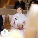 플레타플레르