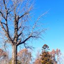 동의기념비 이미지