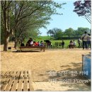 송담프라임공인중개사사무소 | 당진 카페 피어라 (청보리밭 애견 동반 카페) 당진 피크닉 힐링 나들이 예쁜카페 메뉴판)