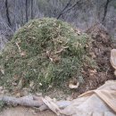 낙안농장 이미지