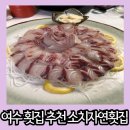 여수 현지인 횟집 추천 물회도 맛집 소치자연횟집