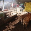 유수정농장 이미지