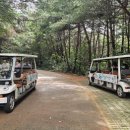 돌리네습지 초소 이미지