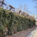 늘푸른캠프 이미지